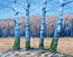 Břízovo kvarteto 65x80